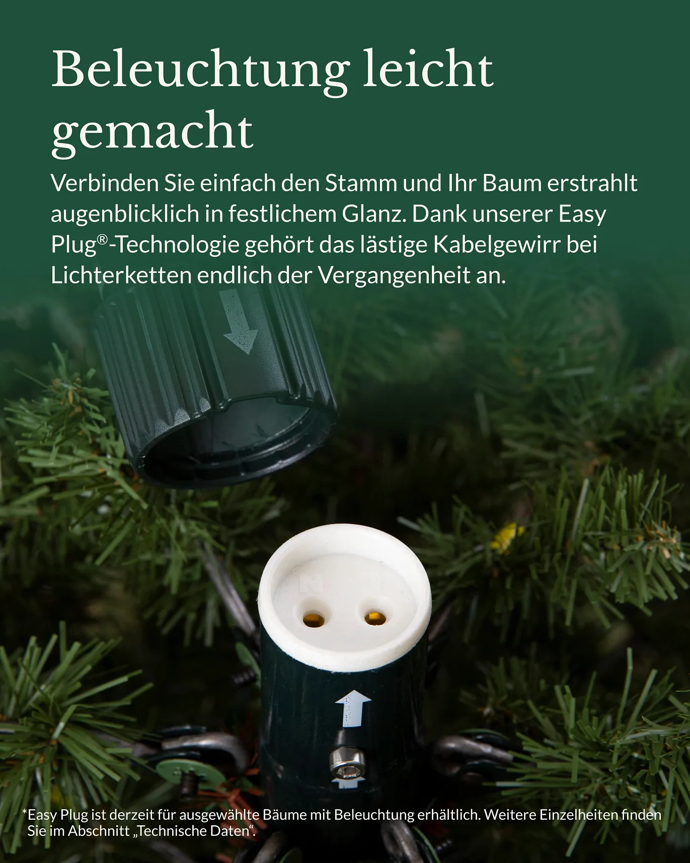 Künstliche Weihnachtsbäume – Rotfichten – Bild 4